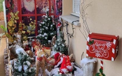 La magie de Noël BB RÊVE…