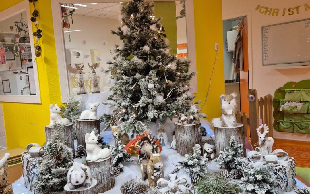 La magie de Noël BB RÊVE…